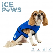 Dog Cooling Coat L