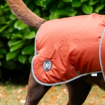 Stormguard Dog Coat Terracotta XS