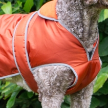 Stormguard Dog Coat Terracotta XS