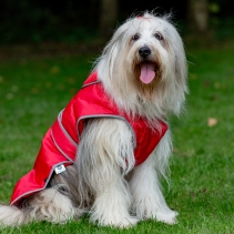 Stormguard Dog Coat Red S/M