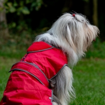 Stormguard Dog Coat Red S/M