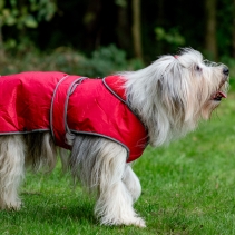 Stormguard Dog Coat Red S/M