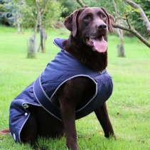 Stormguard Dog Coat Navy S