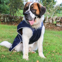 Stormguard Dog Coat Navy S