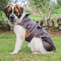 Stormguard Dog Coat Chocolate XS