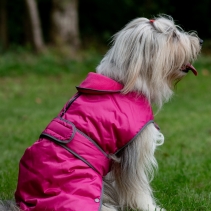 Stormguard Dog Coat Pink XS