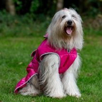 Stormguard Dog Coat Pink L