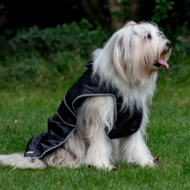 Stormguard Dog Coat Black XS