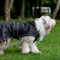 Stormguard Dog Coat Black M