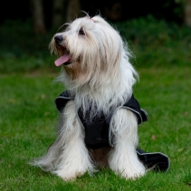 Stormguard Dog Coat Black M