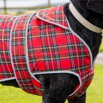 Heritage Red Tartan XS