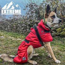 Extreme Monsoon Dog Coat Black 25cm XS