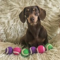 SB Mini Tennis Balls 6pc pack