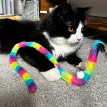 Wiggle Worm Cat Dangler Rainbow