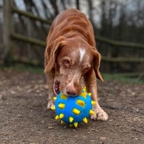 Chase Atomic Ball