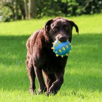 Chase Atomic Ball