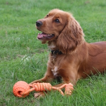 Tough Ball Tug