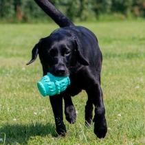 Orva Treat Barrel