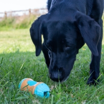 Orva Sensory Roll Treat Toy