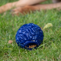 Orva Brain Ball