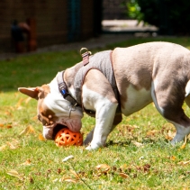 Extreme Floating Ball