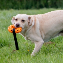 Extreme Floating Donut with Strap