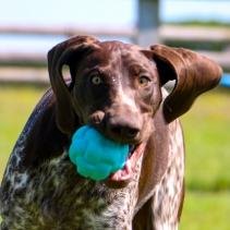 Tough Knot Ball