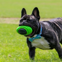 Extreme Tough Rugby Ball