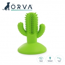 Orva Cactus Toothbrush