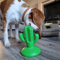 Orva Cactus Toothbrush