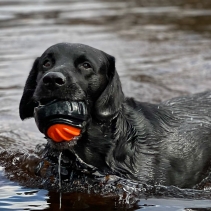 Extreme Tough Ball