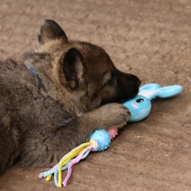 SB Bear / Bunny / Heart Teether