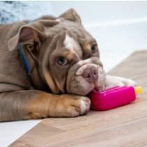 Small Bite Ice Teethers