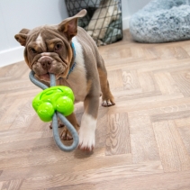 Small Bite Frog Teether Tugger