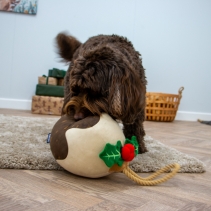 Christmas Dog Toy Deal 2024