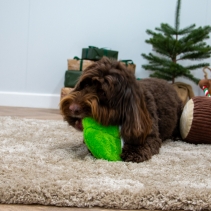 Christmas Dog Toy Deal 2024