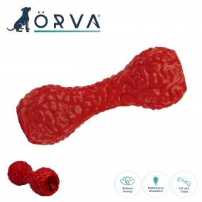 Orva Brain Treat Dumbbell