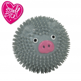 Small Bite Spikey Pig Ball