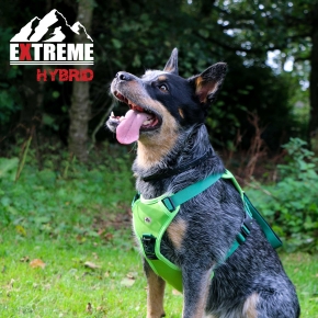 Extreme Hybrid Harness Field Green M