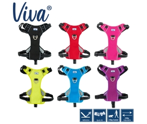 Viva Exercise & Travel Harness Purple S 35-45cm