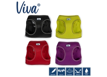 Viva Step-in Harness XL Lime 60-67cm