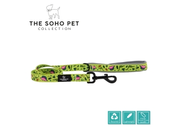 Soho Pet Collection Dino Lead