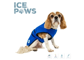 Dog Cooling Coat L