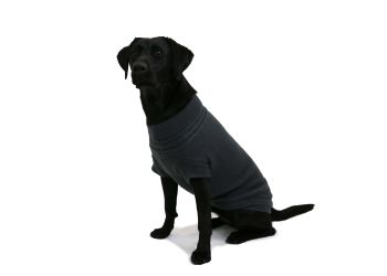 ancol 2 in 1 harness dog coat