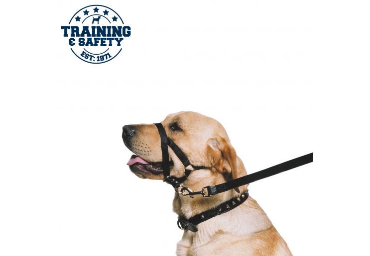 dog muzzle leash lead