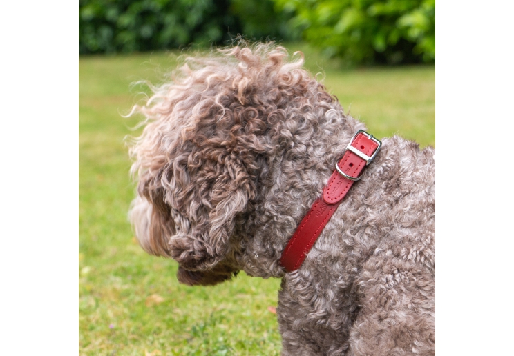 Classic Leather Collar Red 20-26cm Size 1