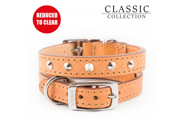 Diamond Stud Collar Tan 22-26cm XS