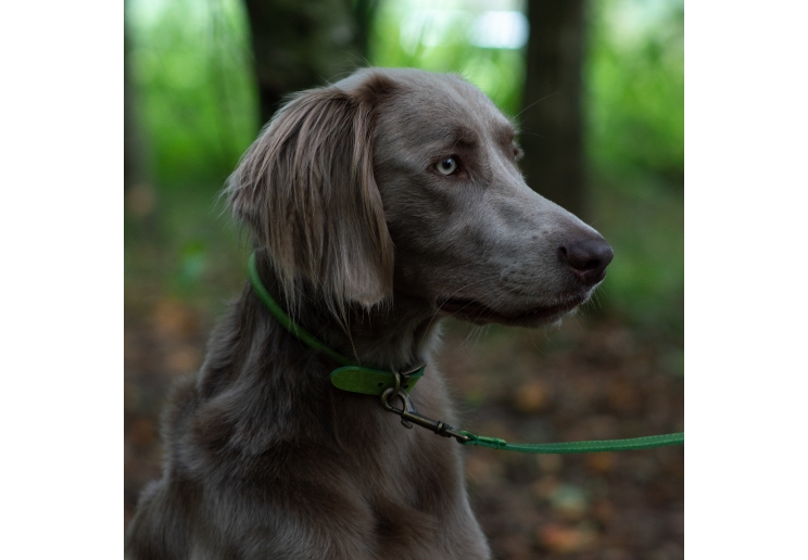 Timberwolf Rolled Collar Green 45-54cm Size 6