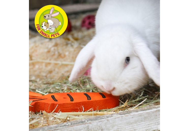 J4P Carrot Cruncher Chew