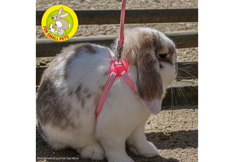 Rabbit and Guinea-Pig Harness Set Pink